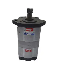 BOMBA DUPLA COM VÁLVULA MASSEY FERGUSON 265a292/4275 3774612 6214827