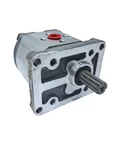 BOMBA HIDRÁULICA BUDNY "11 DENTES" 11111016074 6500235