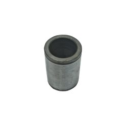 BUCHA PONTA CARÇAÇA EIXO DANA 148956A1
