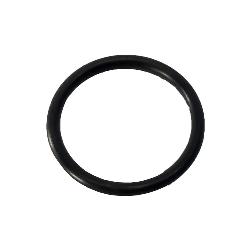 ANEL "ORIGINAL" EIXO DANA FREIO