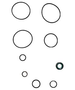 REPARO BOMBA ZF908 1519 1520 1924 A 1934 ZF7673698023 MERCEDES BENZ