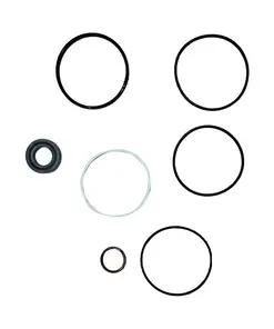 REPARO BOMBA F1000 A F4000 A 90 CX22176 ZF7672698176 FORD