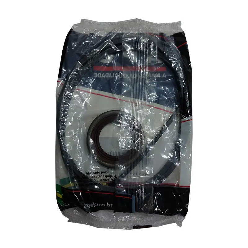 REPARO BOMBA COMERCIAL P-30 P30 MOT010