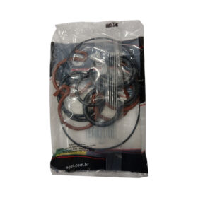 KIT REPARO BOMBA MARRUCCI VEDAÇÃO VITON BHM100 BAS024