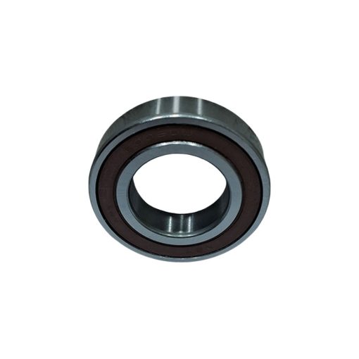 ROL AMENTO - 6006ZZ "NSK" 30x55x13 0600006006