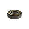 ROLAMENTO - NUP206 30x62x16mm ''FERSA
