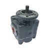 BOMBA FERRO TS22 SAIDA LATERAL 450072 11GL 